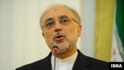 علی‌اکبر صالحی، وزیر امور خارجه ایران پیش از این مصر را برای میزبانی مذاکرات هسته‌ای پیشنهاد داده بود.