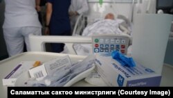 Иллюстрациялык сүрөт.