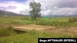 ავლევი